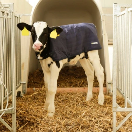 Derka dla cieląt EasyWear 70 cm granatowa KERBL 1 - Sklep.SigmaAgro.Pl.webp