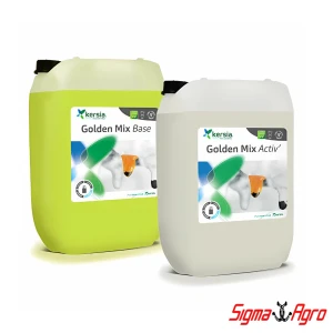 Kersia Golden Mix (Base 10L + Active 10L) – dwuskładnikowy preparat do dezynfekcji strzyków po doju