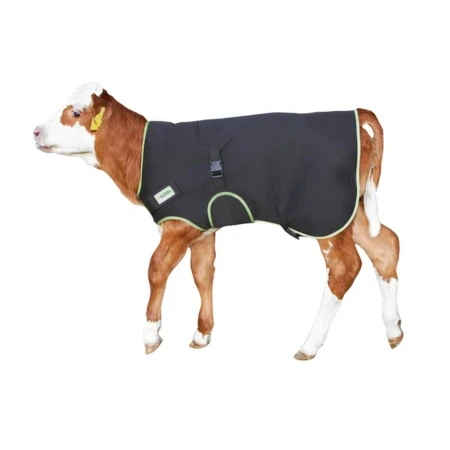 Derka dla cielaka Premium 80 cm czarna KERBL 1 - Sklep.SigmaAgro.Pl.webp