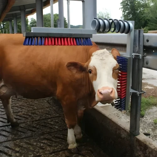 Czochradło dla bydła z nylonowym włosiem -Sigma Agro