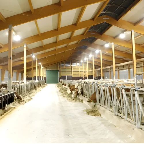 Lampa HiLED Premium Farmer 100W Sigma Agro