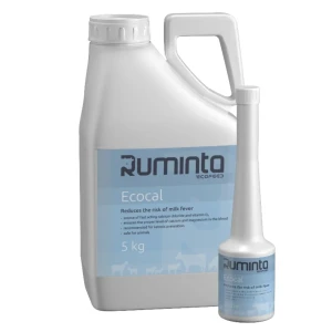 Ruminta Ecocal 500g – szybkie uzupełnienie wapnia u krów