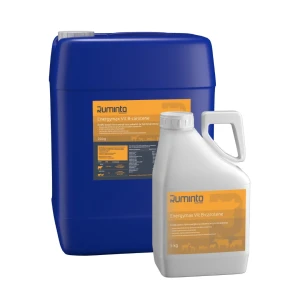 Ruminta Energymax Vit B-Carotene 250 kg – wsparcie energetyczno-witaminowe i płodności krów 