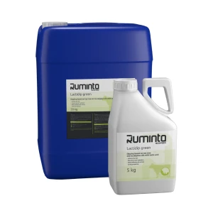 Ruminta Lactidip Green 20 kg– preparat do higieny poudojowej strzyków  