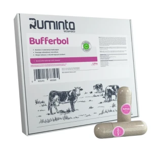 Ruminta Bufferbol 12 sztuk – bolus buforujący dla krów
