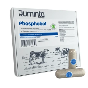 Ruminta Phosphobol 12 sztuk – bolus fosforowy dla krów w okresie okołoporodowym