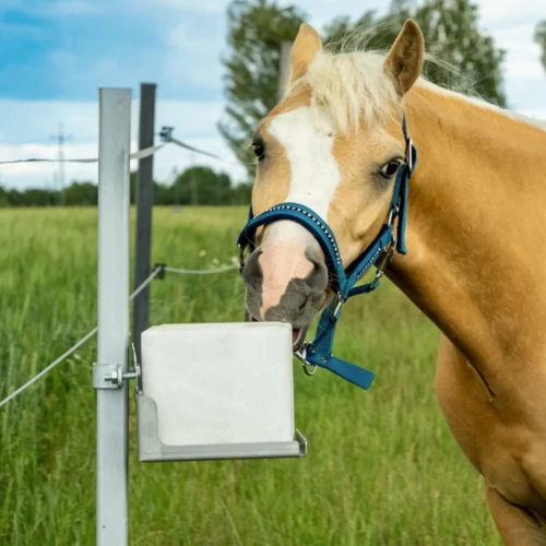Podstawka pod lizawkę solną ze stali ocynkowanej.webp