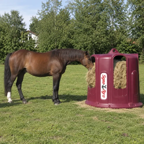 Paśnik Dzwon na siano dla koni Bele od 120 do 160 cm baloty  - Sklep.SigmaAgro.Pl.webp