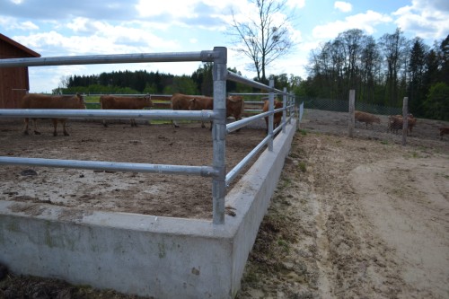 Przykładowy montaż obejmy teowej jako wygrodzenie na okólniku dla bydła - widok z narożnika