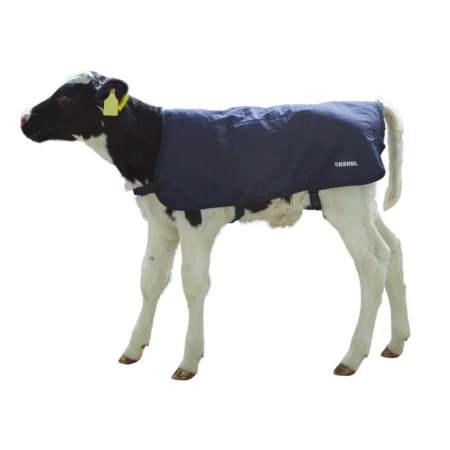 Derka dla cieląt granatowa KERBL 80 cm EasyWear - Sklep.SigmaAgro.Pl