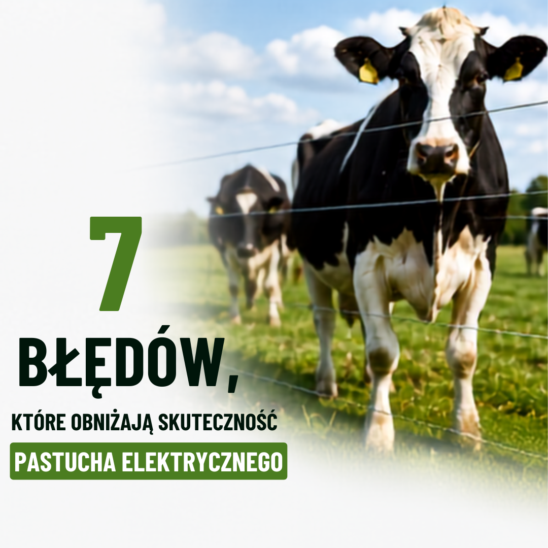 Pastuch elektryczny dla bydła.7 najczęstszych błędów przy budowie ogrodzenia